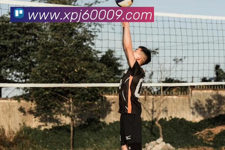 新葡京娱乐城官网APP 封面图