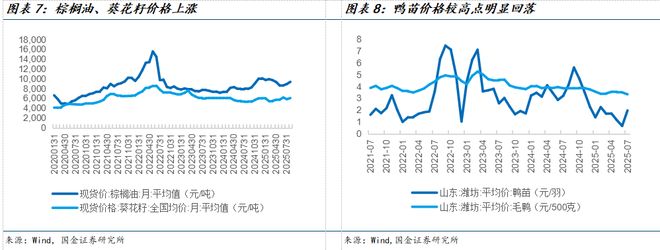 025中报总结：需求持续承压龙头凸显韧性麻将胡了app国金食饮刘宸倩丨大众品2(图7)